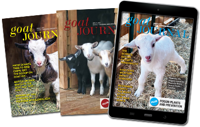 Goat Journal covers, the foremost enclosed in a tablet.
